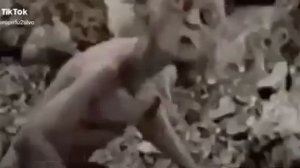 ЕШЬ ПЕЙ ВЕСЕЛИСЬ