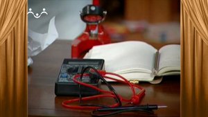 Сказки и Истории. Изобретатель. Цветок