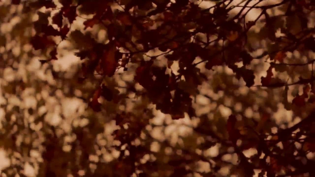 Sadness. смотреть онлайн