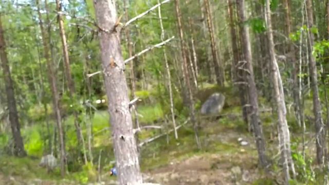 Идём за морошкой, обзор ножа. смотреть онлайн