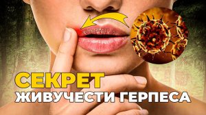 Секрет живучести ГЕРПЕСА | DeeaFilm