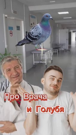 Анекдот про Врача и Голубя! 🤣🤣🤣🤣🤣