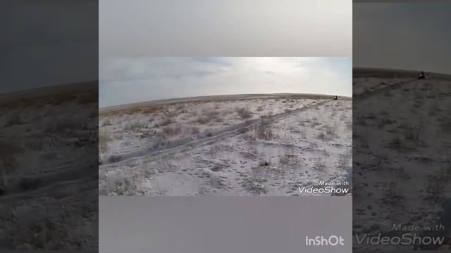 Степные охотники на волков смотреть онлайн