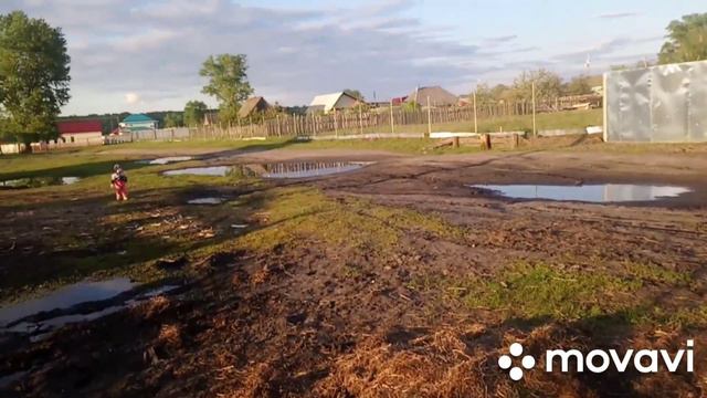 Просто сельский влог. смотреть онлайн