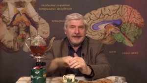 С. Савельев. Если вам скучно. Не занимайтесь ерундой