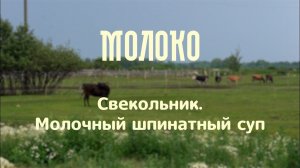 Свекольник. Молочный шпинатный суп | проект «Молоко»