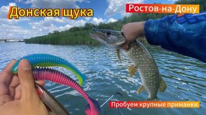 28.06.24 ДОНСКАЯ ЩУКА !!! Пробуем крупные приманки!!!