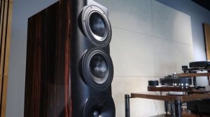 Акустические системы Perlisten S7t Tower. Видео приложение к обзору на Soundex.ru #soundex_review
