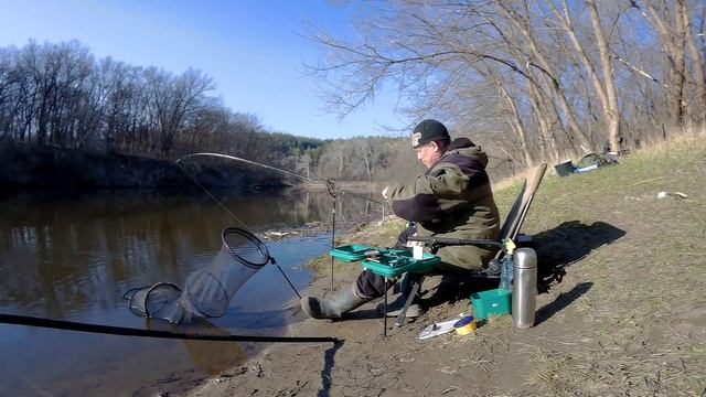 Ловля густеры весной на Северском Донце! смотреть онлайн