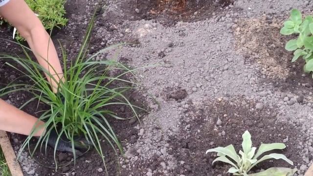 Triangular flower beds in my garden смотреть онлайн