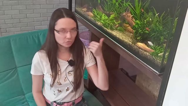 Хотела ответить на вопросы, а попались предъявы смотреть онлайн