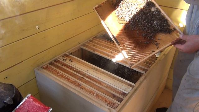 как ограничить пчеломатку яйцекладки смотреть онлайн