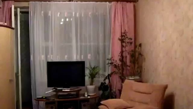 Коты ловят летучую мышь по квартире смотреть онлайн