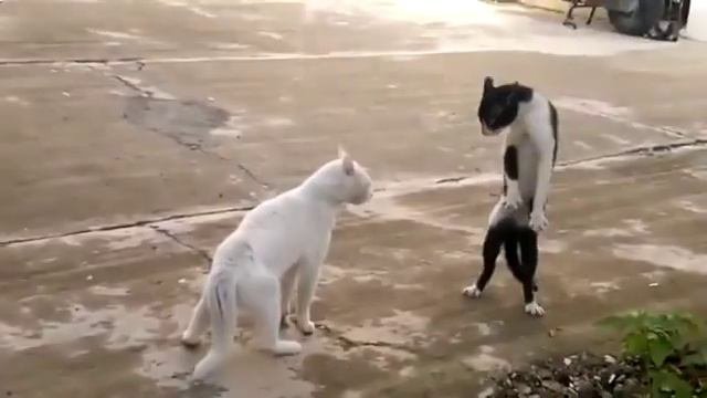 купить металлический