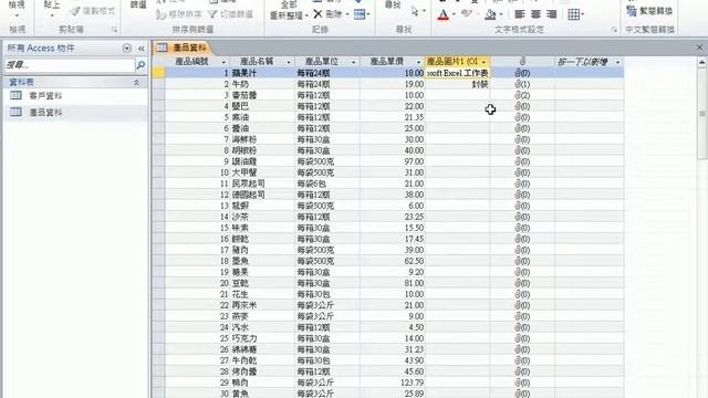 【Access 資料庫教學】13 插入OLE物件與插入附件檔案