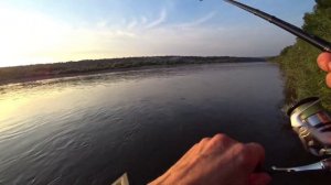 ЖЕРЕХ на ОКЕ.Что такое - не клюет и как с этим бороться?