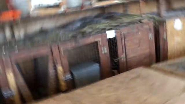 Небольшой обзор по кроликам смотреть онлайн