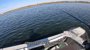 Рыбалка на Волге 2023|Ловля жереха на котле|