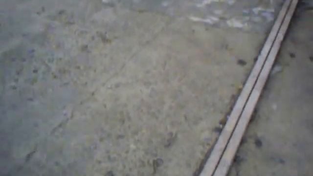 Луганск, щенки южно-русской овчарки смотреть онлайн