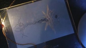 Ручная гравировка оргстекла