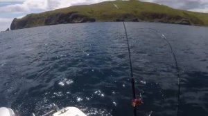 Троллинг симы в Уссурийском заливе