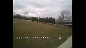 Darwinfpv baby ape