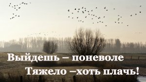 🌾 Афанасий Фет. Ласточки пропали | Стихи о природе поэтов 19 века