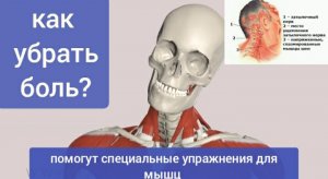 Как убрать боль в шее, плечах, голове? Поможет уникальное кожное упражнение для нервов