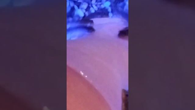 пилинг ног? смотреть онлайн