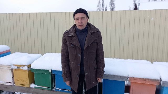 Изоляция маток для нас неприемлема смотреть онлайн