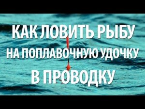 РЫБАЛКА в ПРОВОДКУ на ПОПЛАВОЧНУЮ УДОЧКУ для НАЧИНАЮЩИХ.