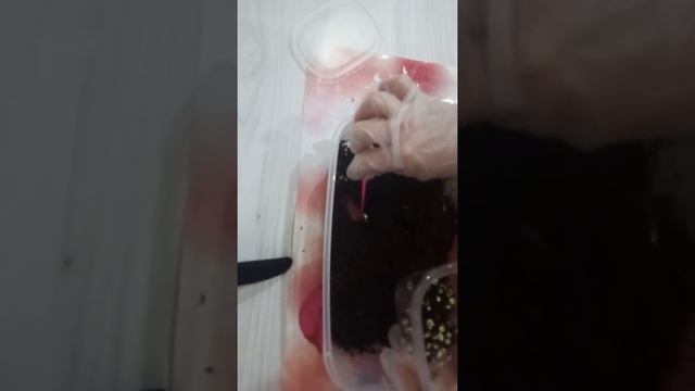 Как инкубировать яйца улиток Ахатинок/Polina OMG Pets смотреть онлайн