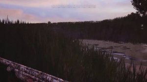 Hunting Simulator 2. Взял первую добычу Вапити. Понял сколько можно отстреливать по лицензии.