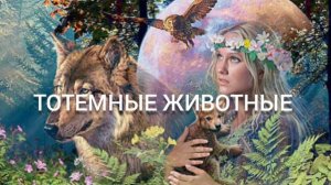 Тотемные животные. Какие бывают тотемные животные? Как получить тотемное животное?