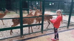 Зоопарк в парке Поддубного г.Ейск