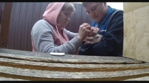 ✅ Чистим уши кроликам/ уход за кроликами