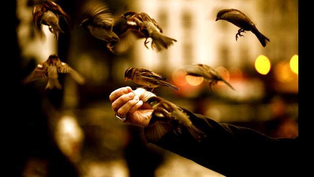 Мир не без добрых людей смотреть онлайн