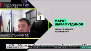 РБ занимает первое место в ПФО по посадке лесов