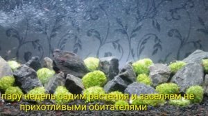 Фальшдно для аквариума (донный фильтр) / False for the aquarium (bottom filter)