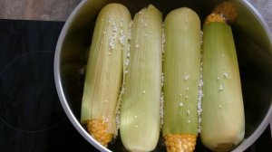 Как правильно варить кукурузу. Варим молодую кукурузу.