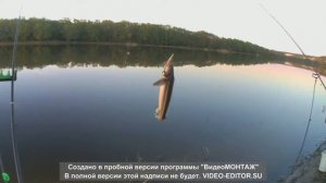 Рыбалка на Дону весной