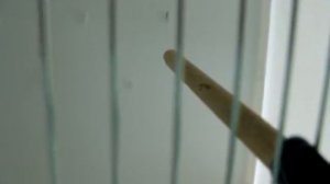 18.09.2014 Новый кенар агат опал желтый мозаик