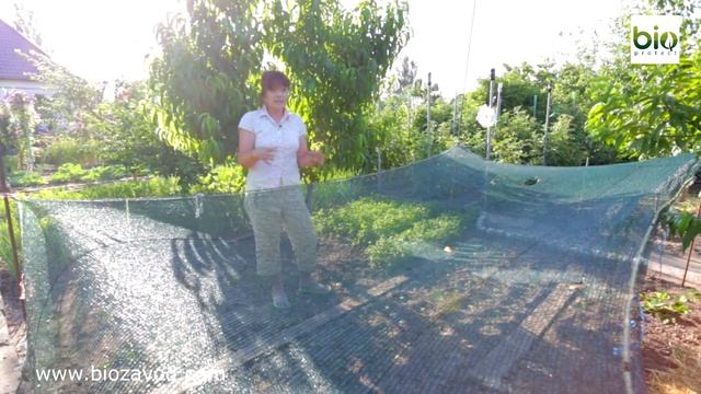 Биопрепараты или как вырастить здоровый урожай. смотреть онлайн