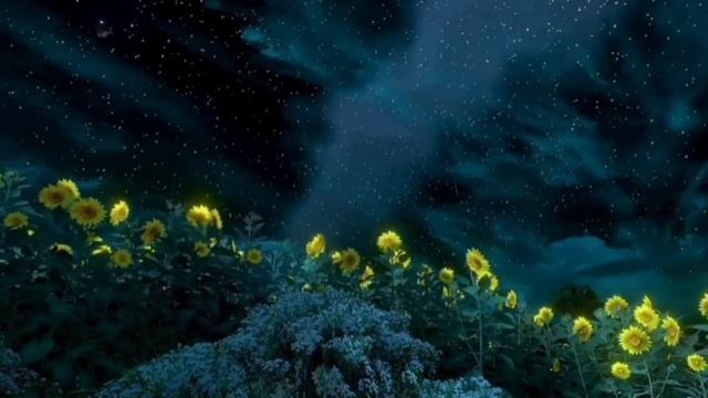 Музыка для сна и исцеления пока Вы спите.Звуки сверчков, ночное небо со звездами