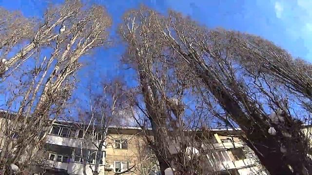 Что лучше, Снегокат или Ватрушка смотреть онлайн