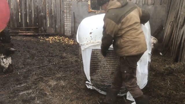 Как сохранился сенаж СЕЗОНА 2023!Качество сенажа в рулонах!