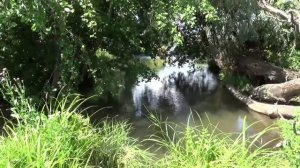 Рыбалка  Нахлыст  Река Курсак