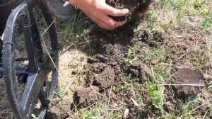 РАСCЫПУХА МОНЕТ! НАШЛИ КЛАД! ПОИСК МОНЕТ НА СТАРЫХ ОГОРОДАХ!