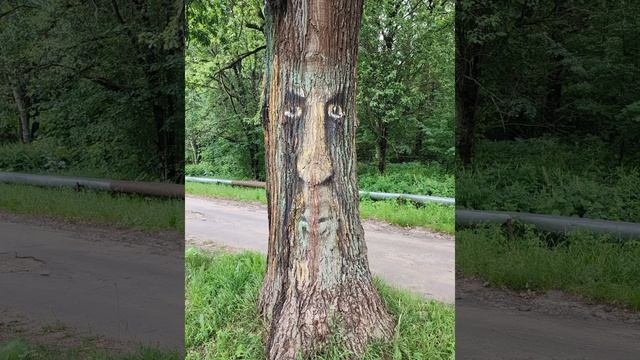 Художник.