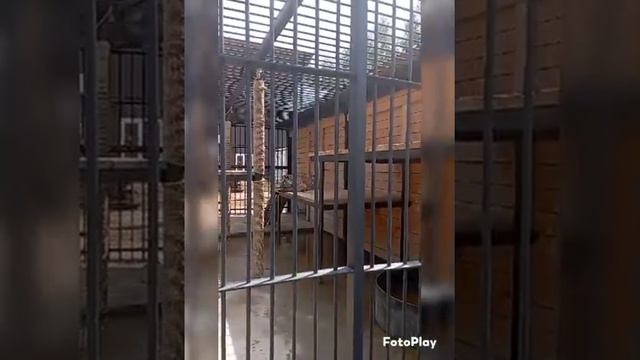 Зоопарк Алёнушка. смотреть онлайн